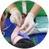 Cardiovascular Icon